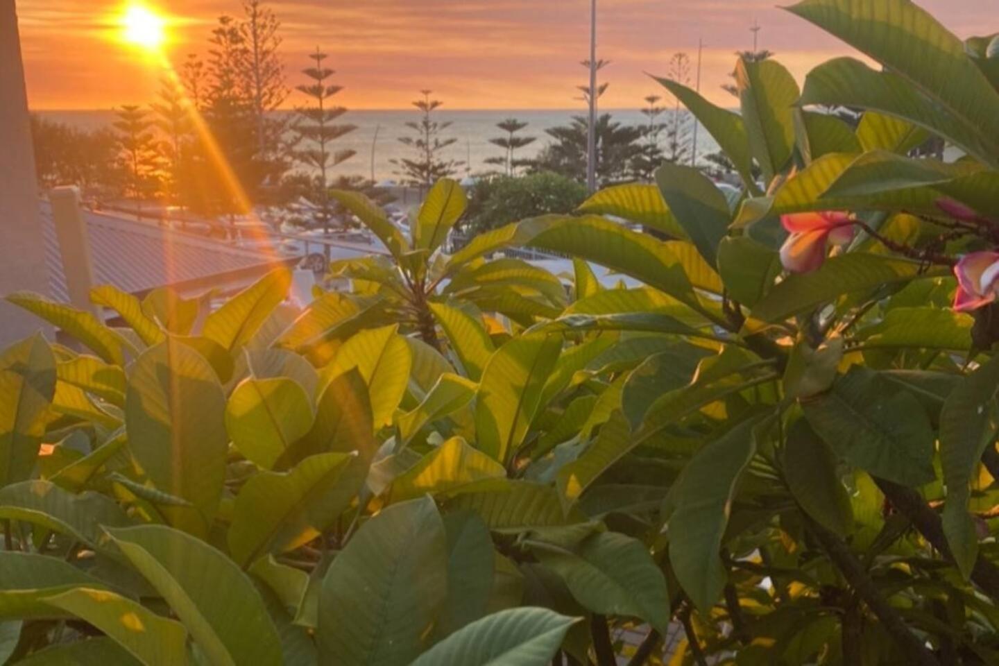 Scarborough Beach Front Resort - Shell Ten Perth Bagian luar foto